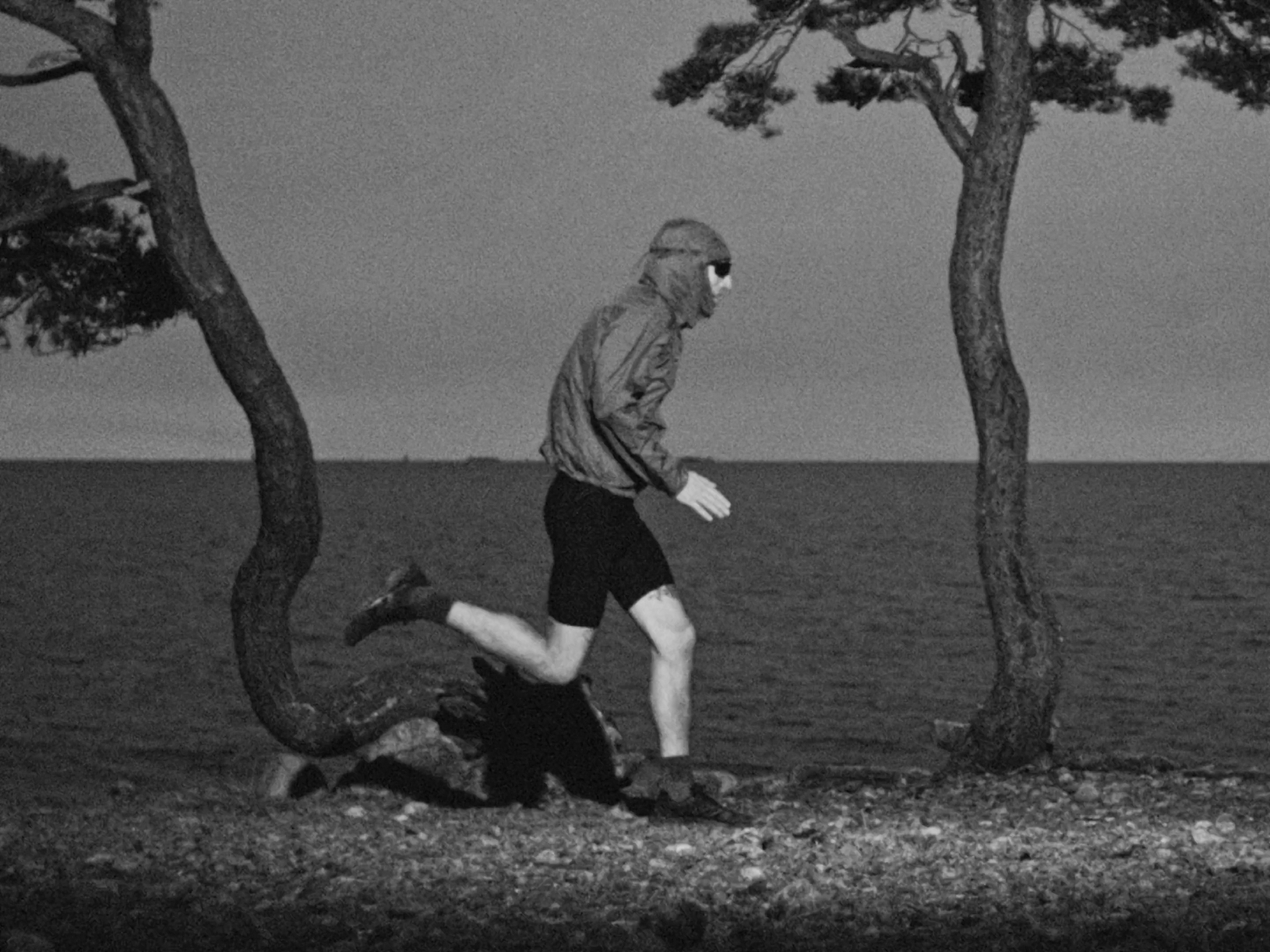 Introduction au trail running